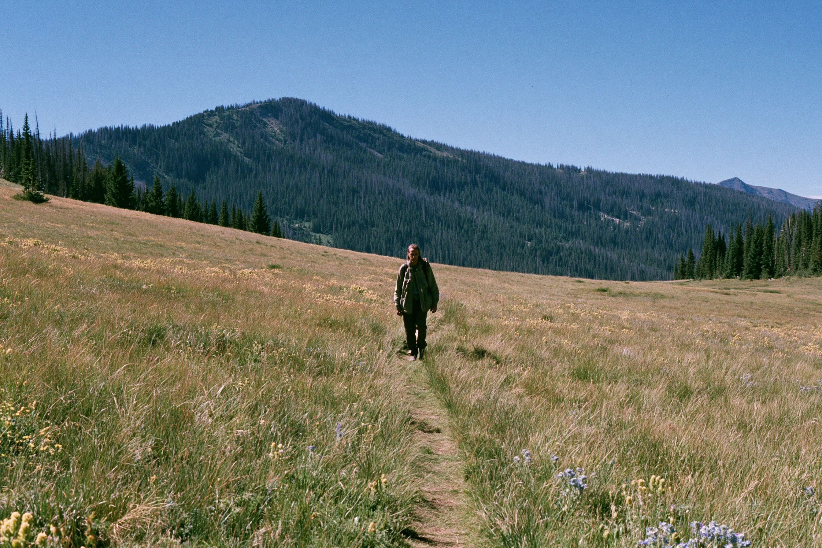 Person walking along a dirt path through a meadow with wildflowers, mountains and forest in the background under a clear blue sky.